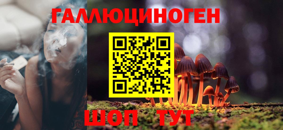 Галлюциногенные грибы GOLDEN TEACHER  Вход с VPN  Нурлат 